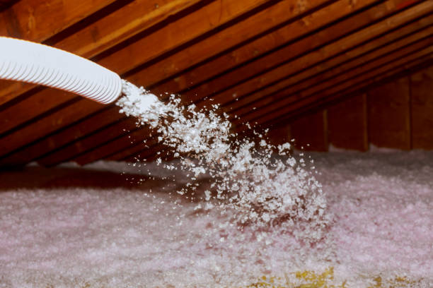 Best Insulation Installation Services in Ranson, WV